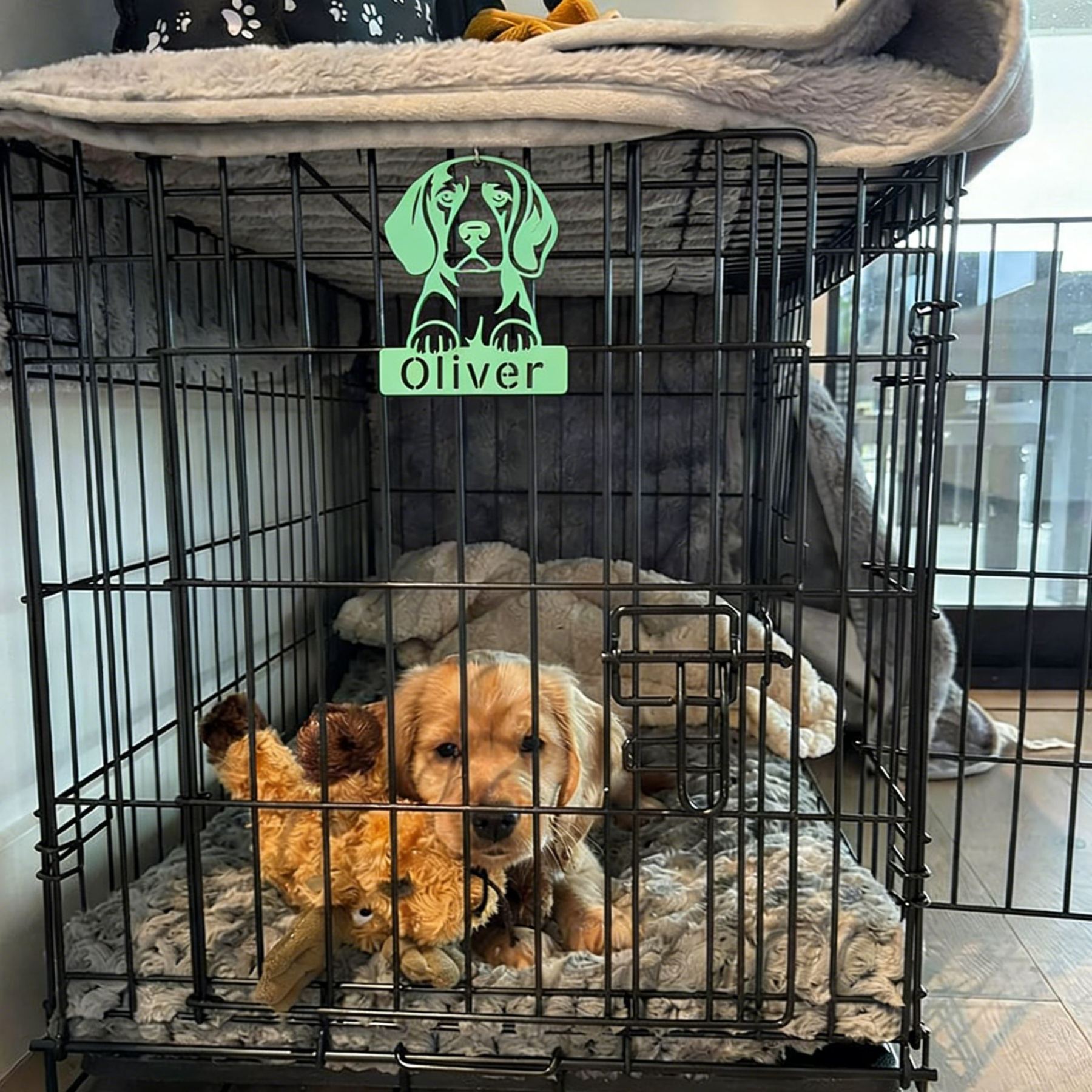 Personalized Dog Breed Wall Art Sign Cage Decor | BKPet451