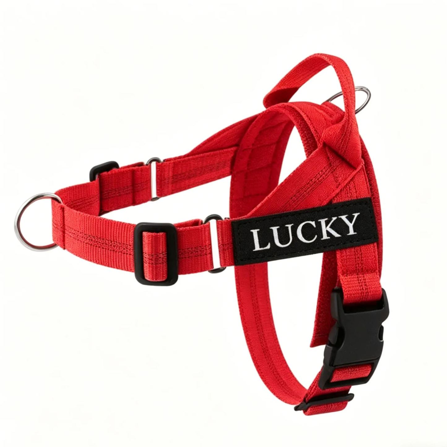 Personalized Embroidered Dog Harness & Leash Set | BKPet462