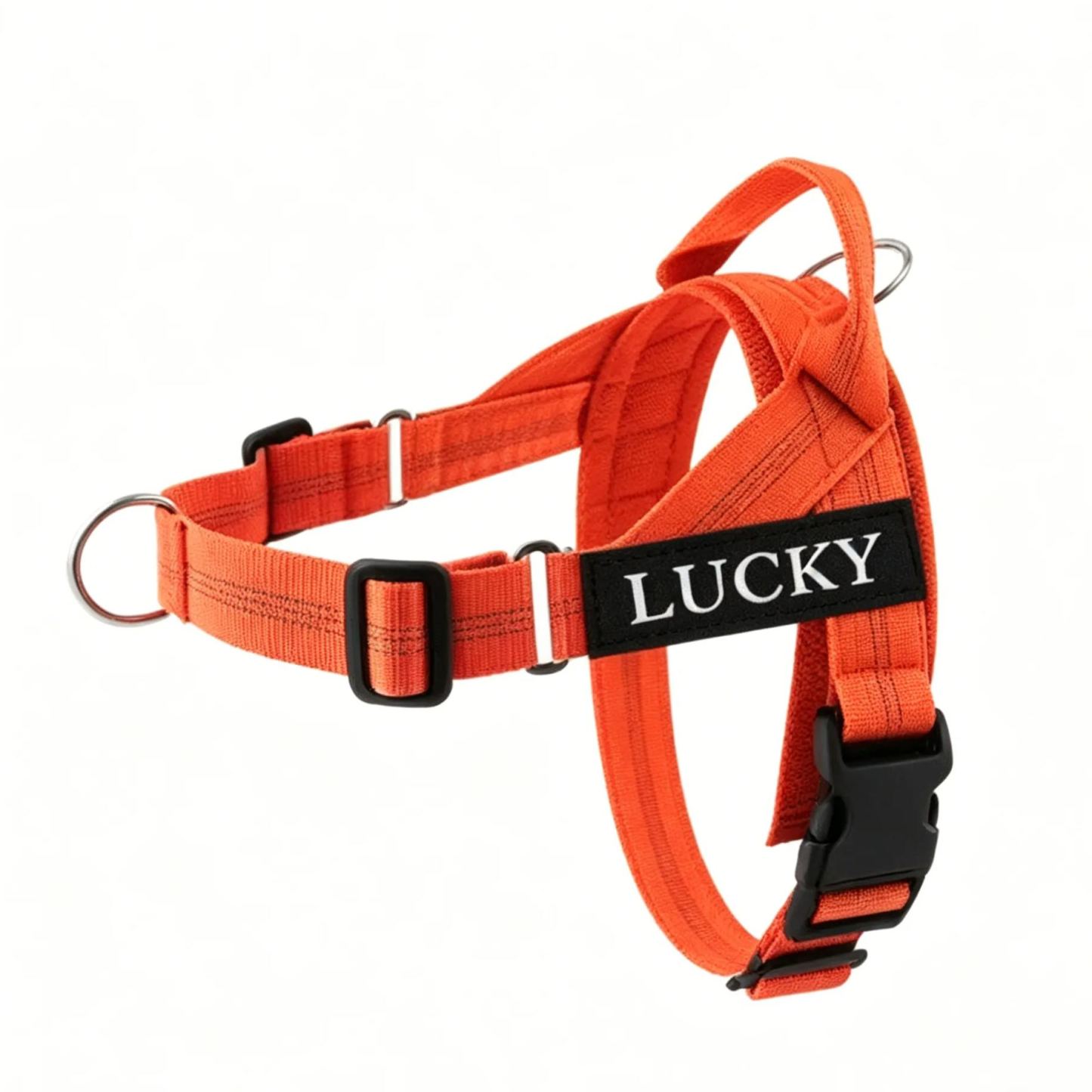 Personalized Embroidered Dog Harness & Leash Set | BKPet462