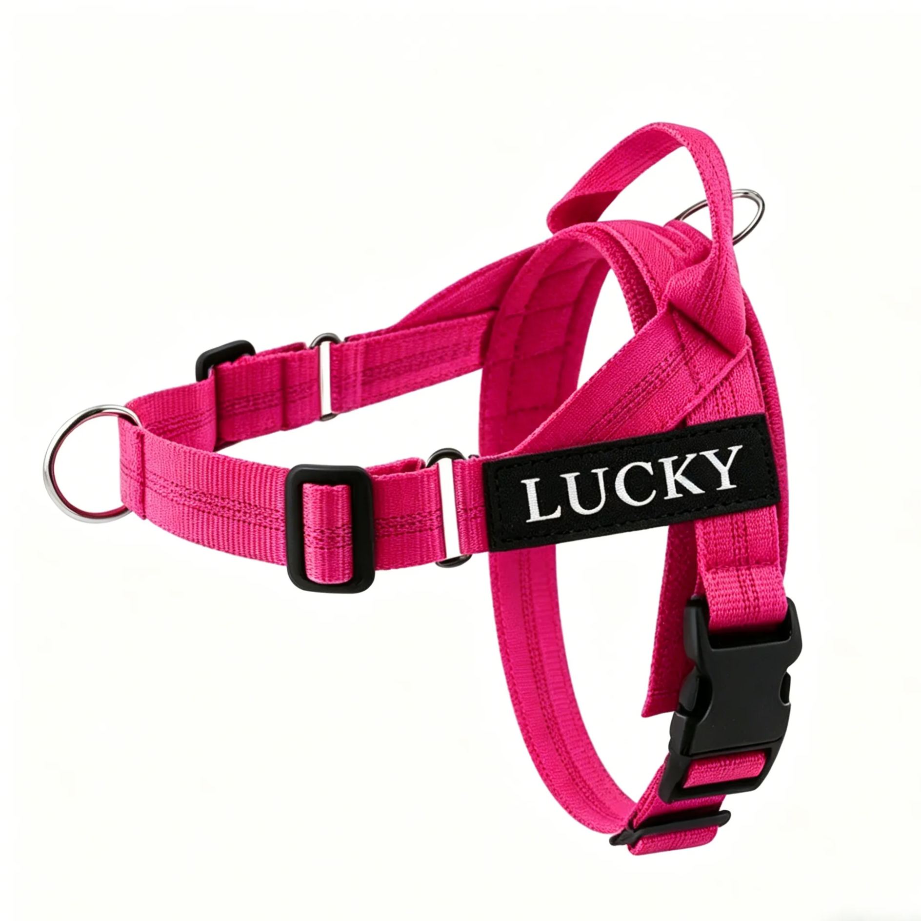 Personalized Embroidered Dog Harness & Leash Set | BKPet462