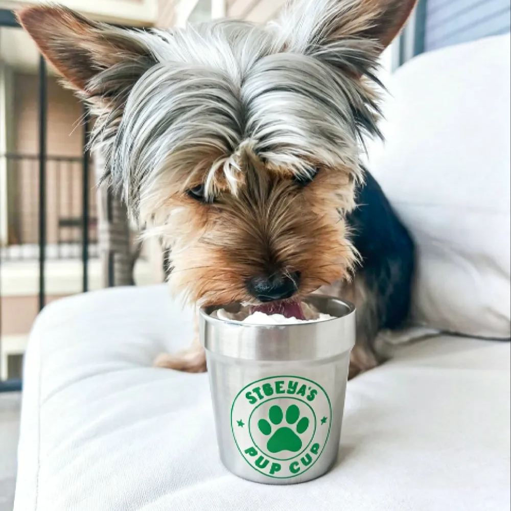 Personalized Stainless Steel Dog Treat Cup Mug | MNFeed45