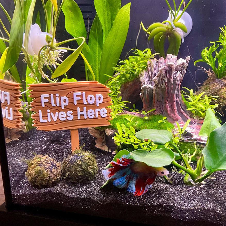Personalized 3D Printed Forest Sign for Fishtanks | CWGift92