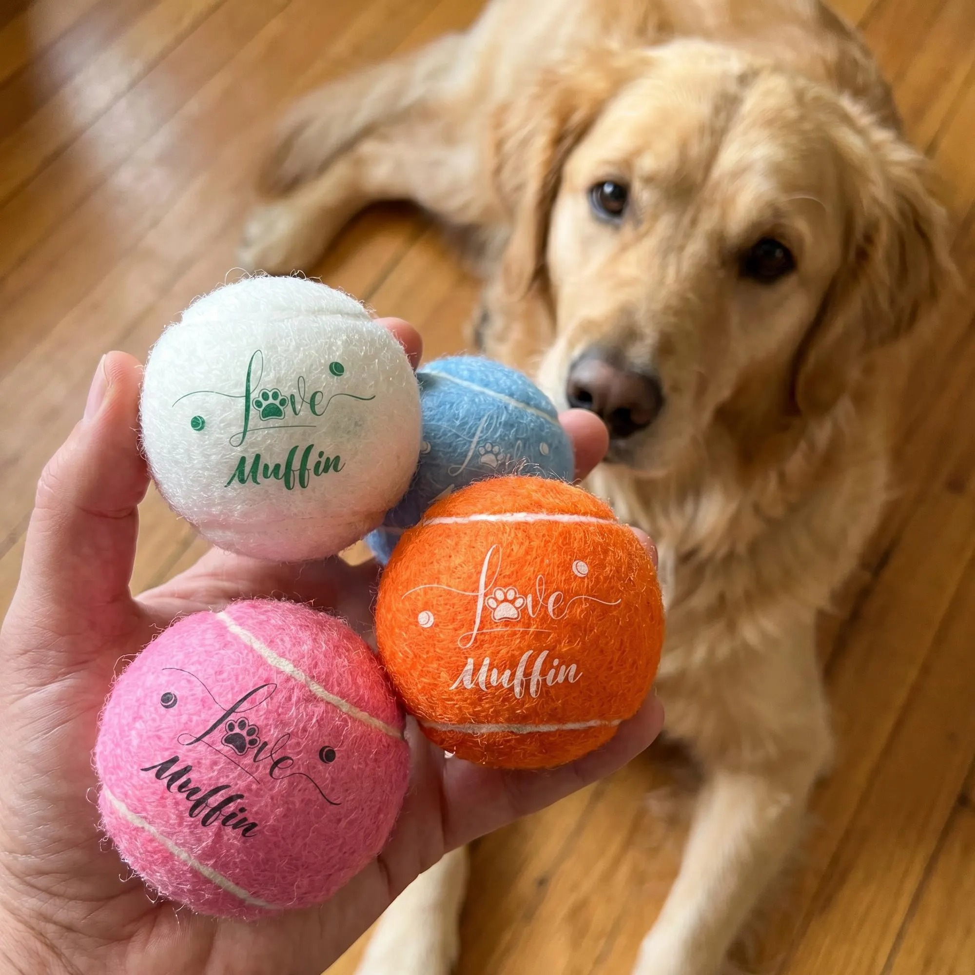 Personalized Dog Tennis Ball With Name | MNToy27
