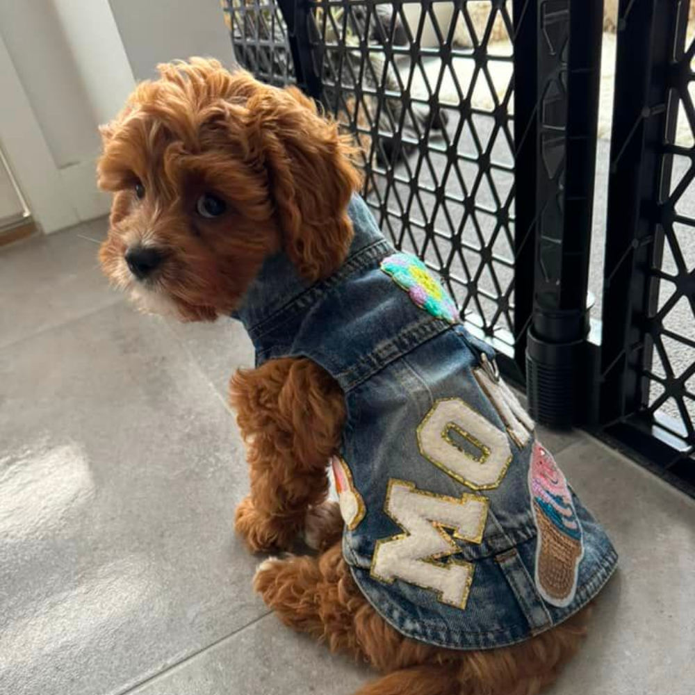 Personalized Hand Patch Pets Denim Jacket for Comfort and Unique | BKPet26