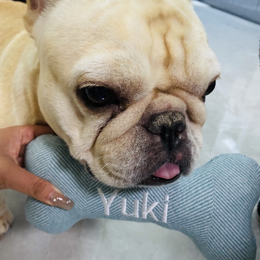 Personalized Durable Puppy Bone Toy for Funny & Unique | BKPet27