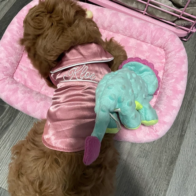 Personalized Embroidery Silky Pet Pajamas for Comfort & Unique | BKPet31