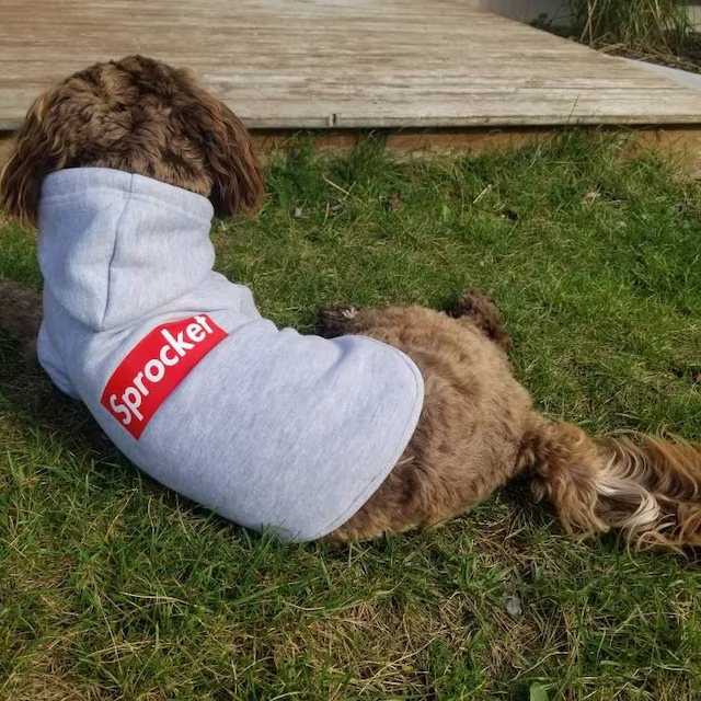 Personalized Warm Puppy Hoodie for Comfort & Unique | BKPet32