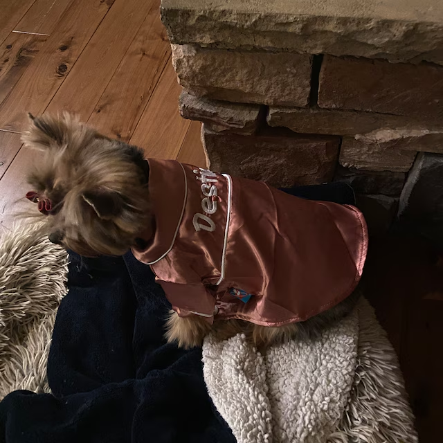 Personalized Embroidery Silky Pet Pajamas for Comfort & Unique | BKPet31