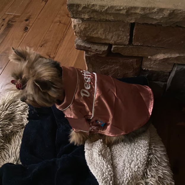 Personalized Embroidery Silky Pet Pajamas for Comfort & Unique | BKPet31