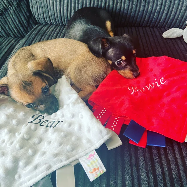 Personalized Baby Embroidery Comforter Ribbon Tag Blanket | CWBaby38