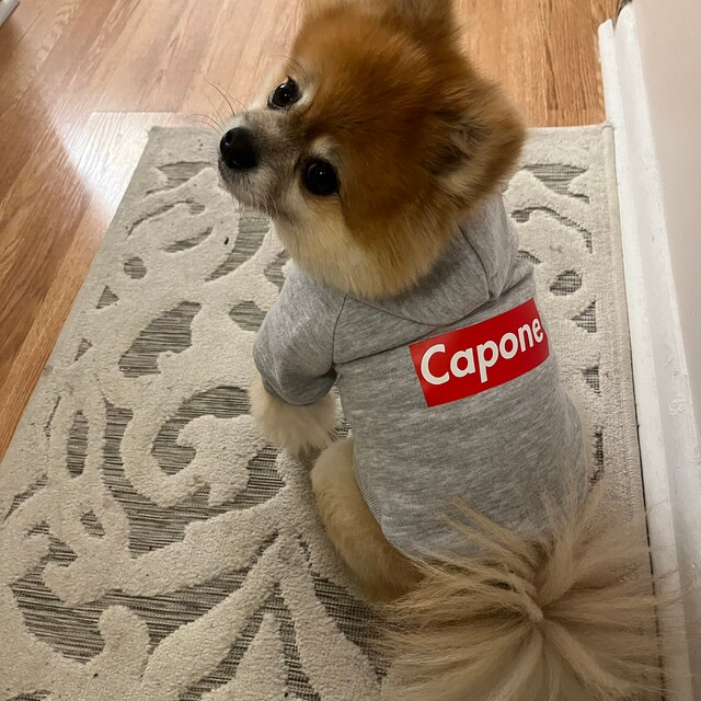 Personalized Warm Puppy Hoodie for Comfort & Unique | BKPet32