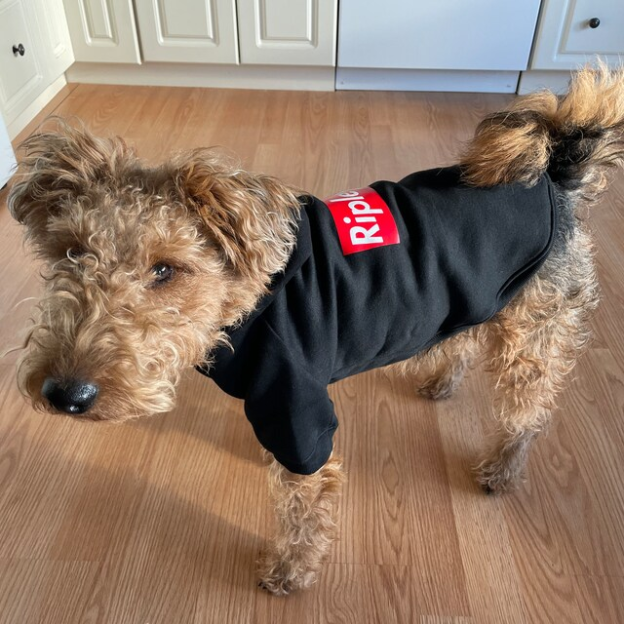 Personalized Warm Puppy Hoodie for Comfort & Unique | BKPet32