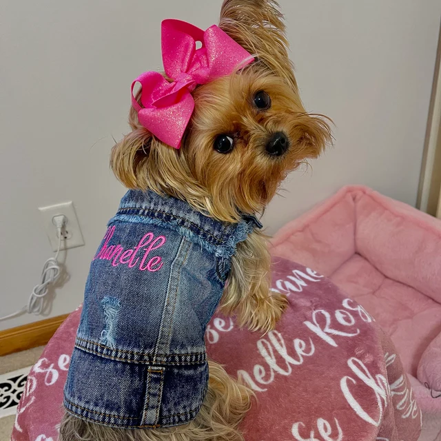 Personalized Embroidered Pets Denim Jacket for Comfort and Unique | BKPet33