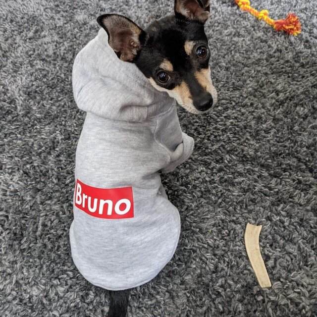 Personalized Warm Puppy Hoodie for Comfort & Unique | BKPet32