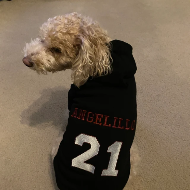 Personalized Warm Puppy Hoodie for Comfort & Unique | BKPet28