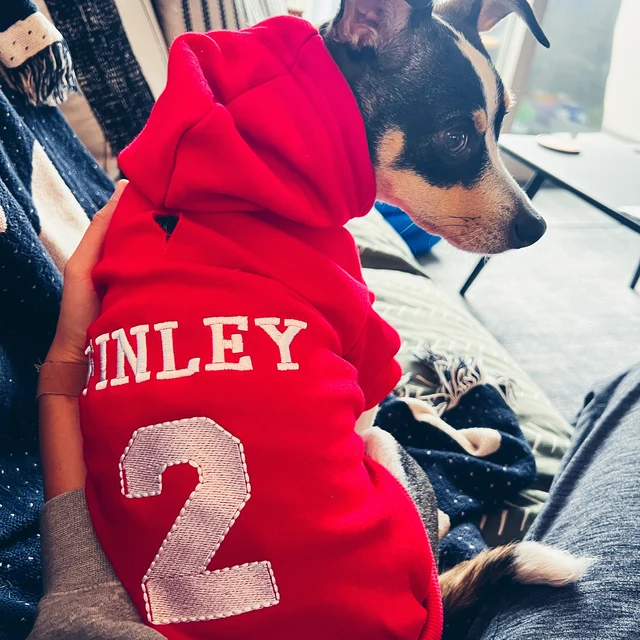Personalized Warm Puppy Hoodie for Comfort & Unique | BKPet28