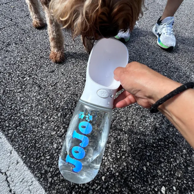 Personalized Dog Water Bottle Container | BKPet80