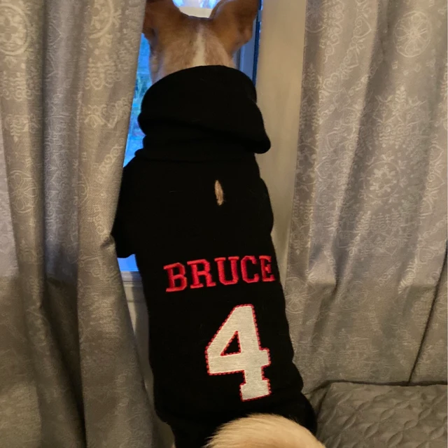 Personalized Warm Puppy Hoodie for Comfort & Unique | BKPet28
