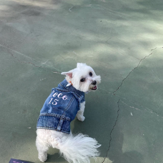 Personalized Embroidered Pets Denim Jacket for Comfort and Unique | BKPet33