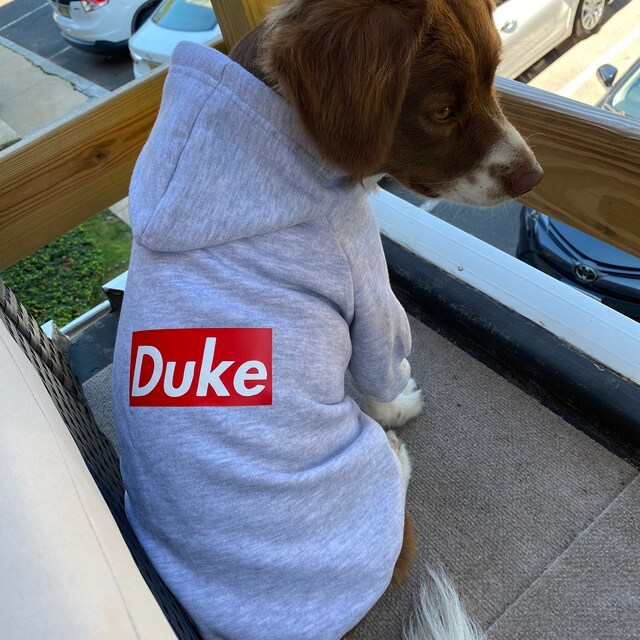 Personalized Warm Puppy Hoodie for Comfort & Unique | BKPet32