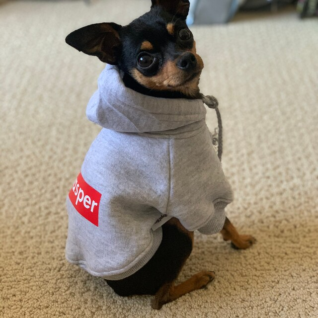 Personalized Warm Puppy Hoodie for Comfort & Unique | BKPet32