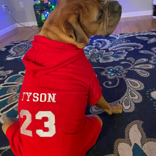 Personalized Warm Puppy Hoodie for Comfort & Unique | BKPet28