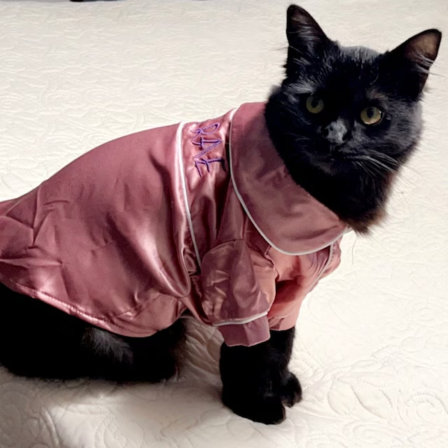 Personalized Embroidery Silky Pet Pajamas for Comfort & Unique | BKPet31