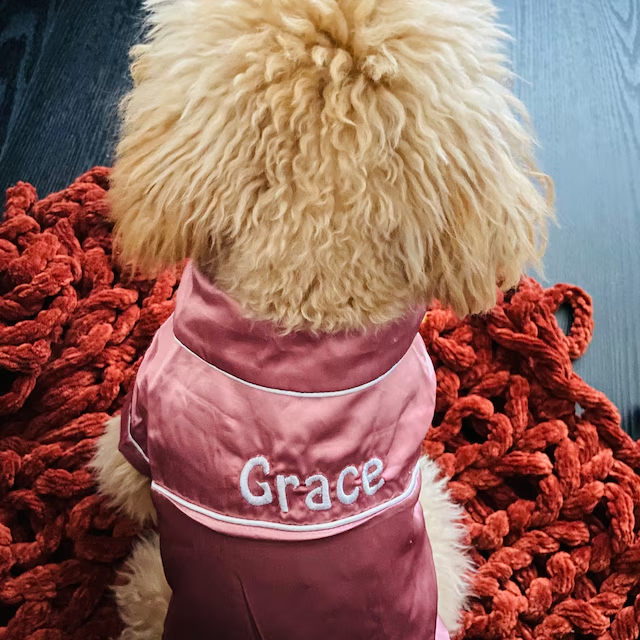 Personalized Embroidery Silky Pet Pajamas for Comfort & Unique | BKPet31