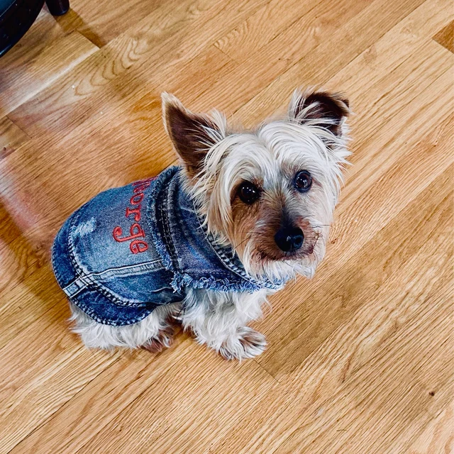 Personalized Embroidered Pets Denim Jacket for Comfort and Unique | BKPet33