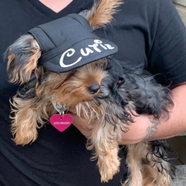 Personalized Pet Color Baseball Cap with Ear Holes | CWPet60