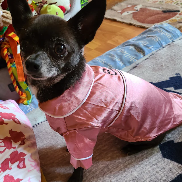 Personalized Embroidery Silky Pet Pajamas for Comfort & Unique | BKPet31