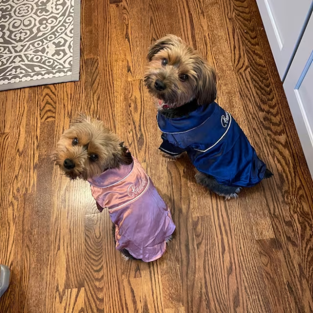 Personalized Embroidery Silky Pet Pajamas for Comfort & Unique | BKPet31