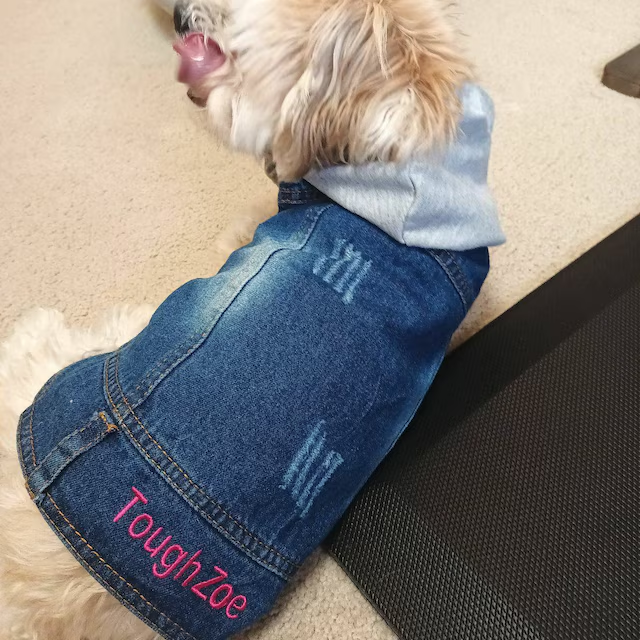 Personalized Embroidered  Pets Denim Jacket | BKPet54