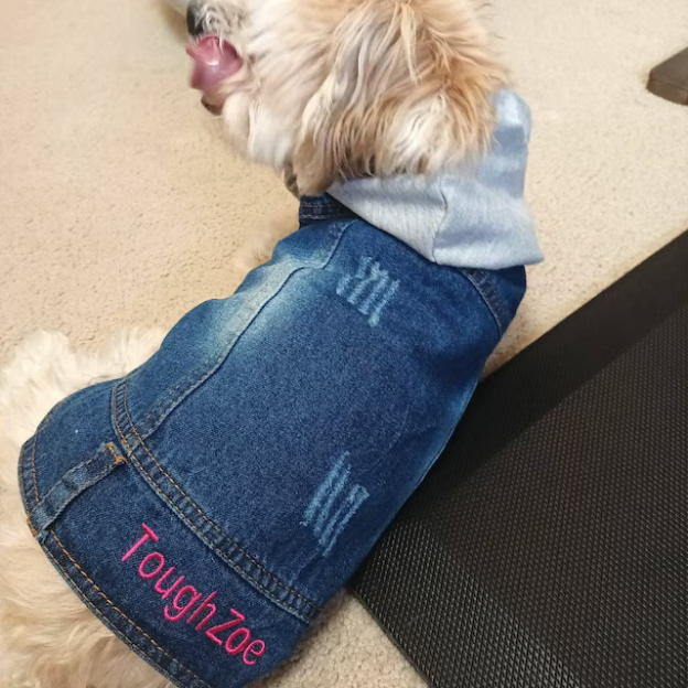 Personalized Embroidered  Pets Denim Jacket | BKPet54