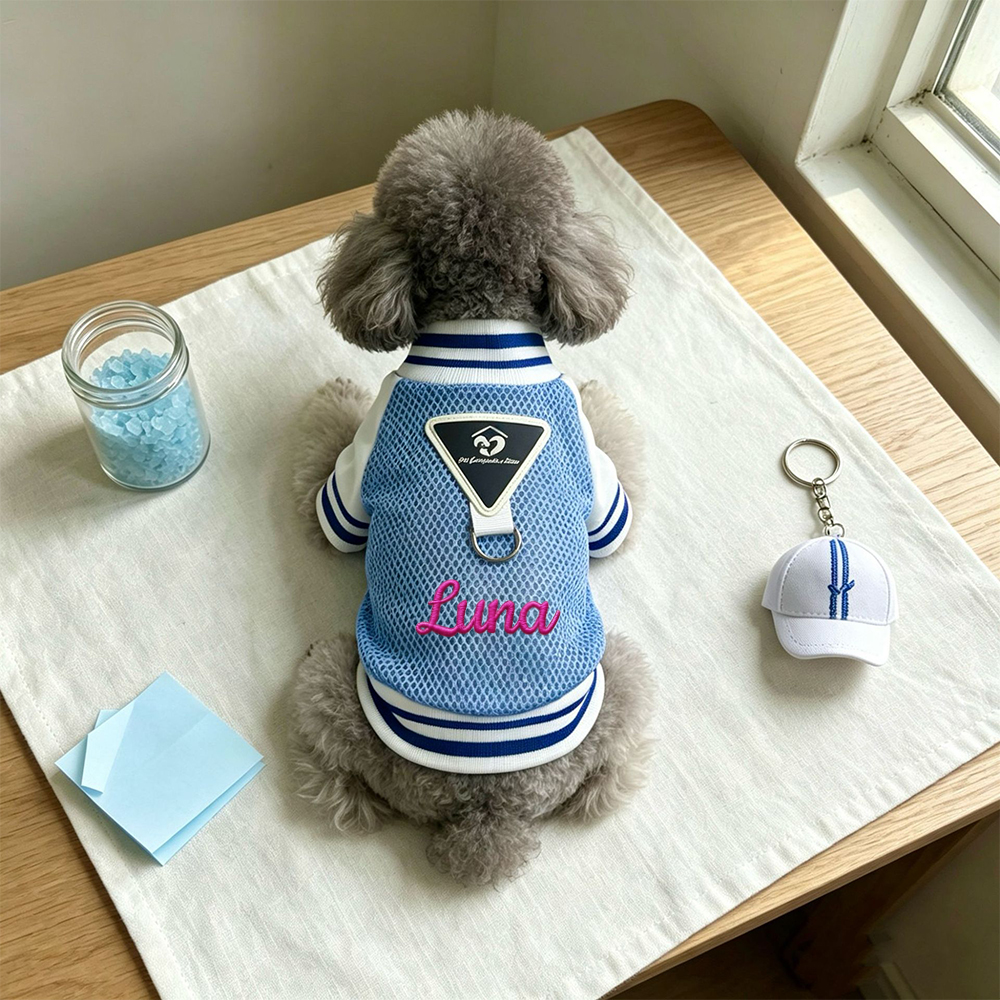 Personalized Embroidered Breathable Mesh Dog Baseball Jacket for Summer | MNCloth242