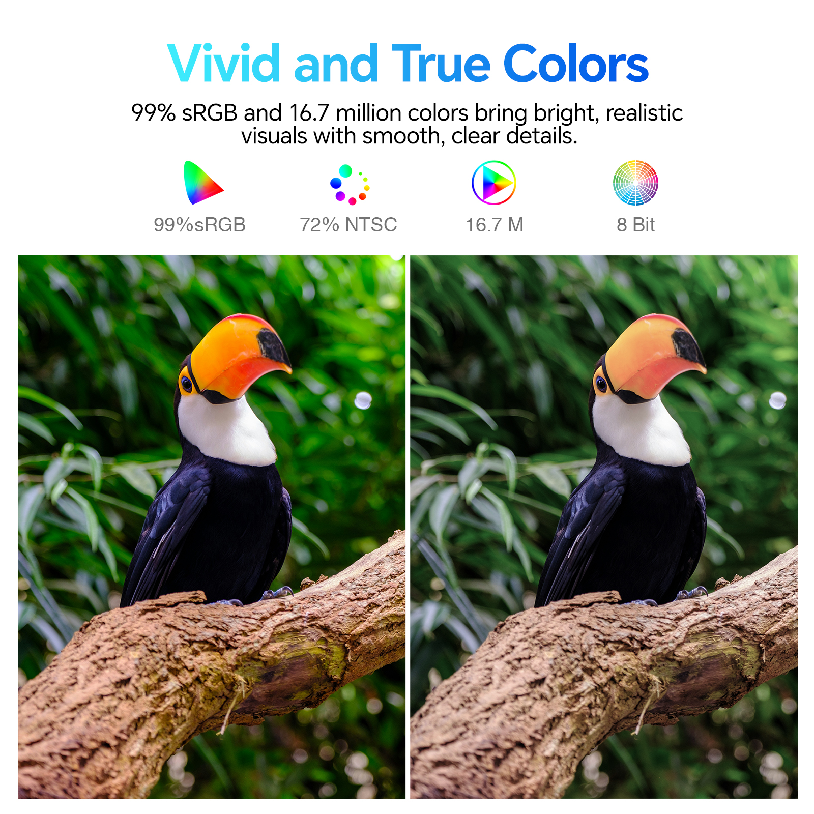 KOORUI 24 Inch Computer Monitor, FHD 1080P 144Hz Gaming Monitor, IPS Display, Free-sync Compatible, 99% SRGB Color Gamut VESA 100 * 100mm Eye Care, Ultra-Slim Frame, Black, E2411K