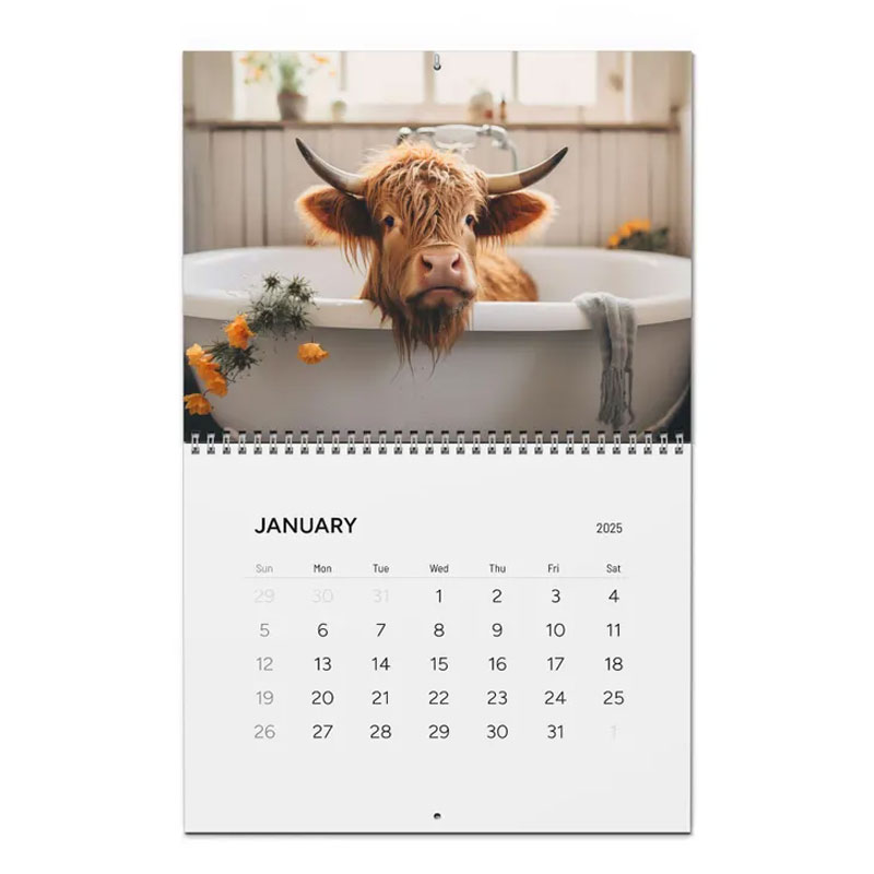 📅2026 Bathtub Highland Cow Calendar