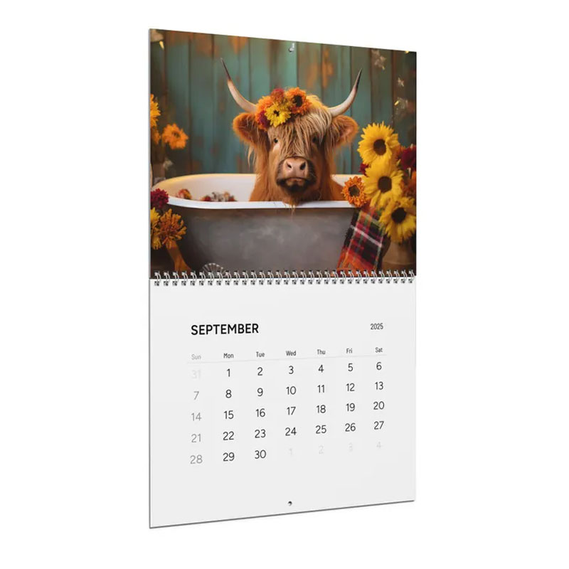 📅2026 Bathtub Highland Cow Calendar