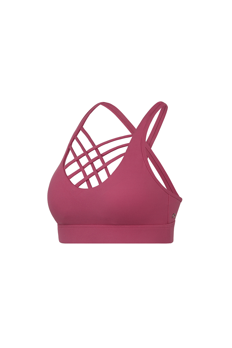 Triple Cross Sports Bra