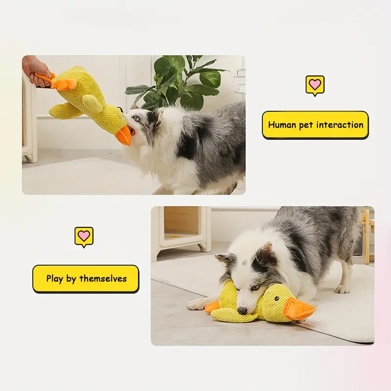 https://img-va.myshopline.com/image/store/1659420736550/1pc-large-duck-design-pet-grinding-teeth-squeaky-yy-(3).png?w=800&h=800