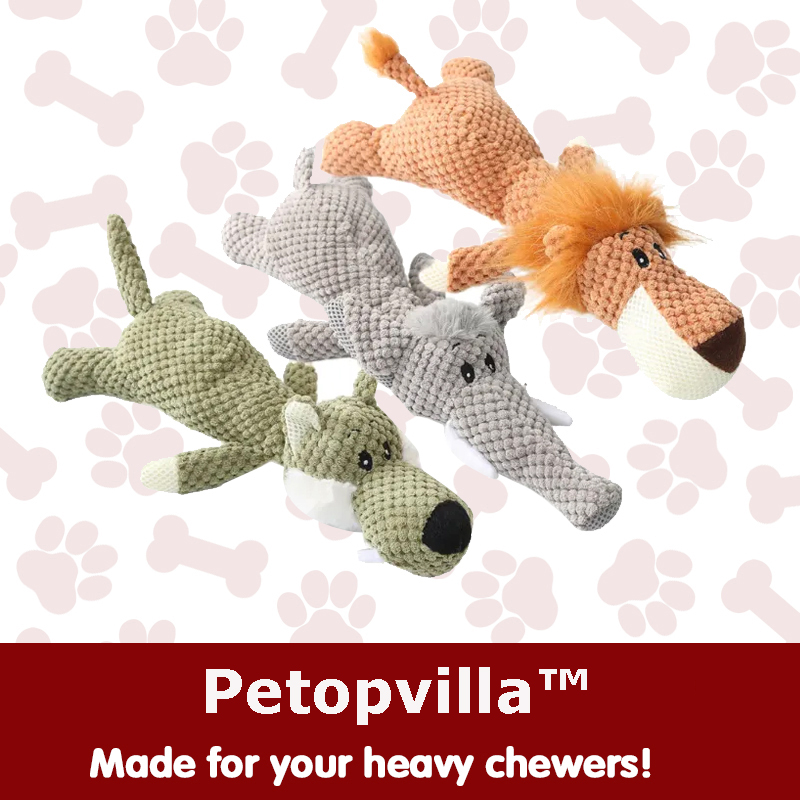 Petopvilla™ Unbreakable Chew Toy Designed for Heavy Chewers