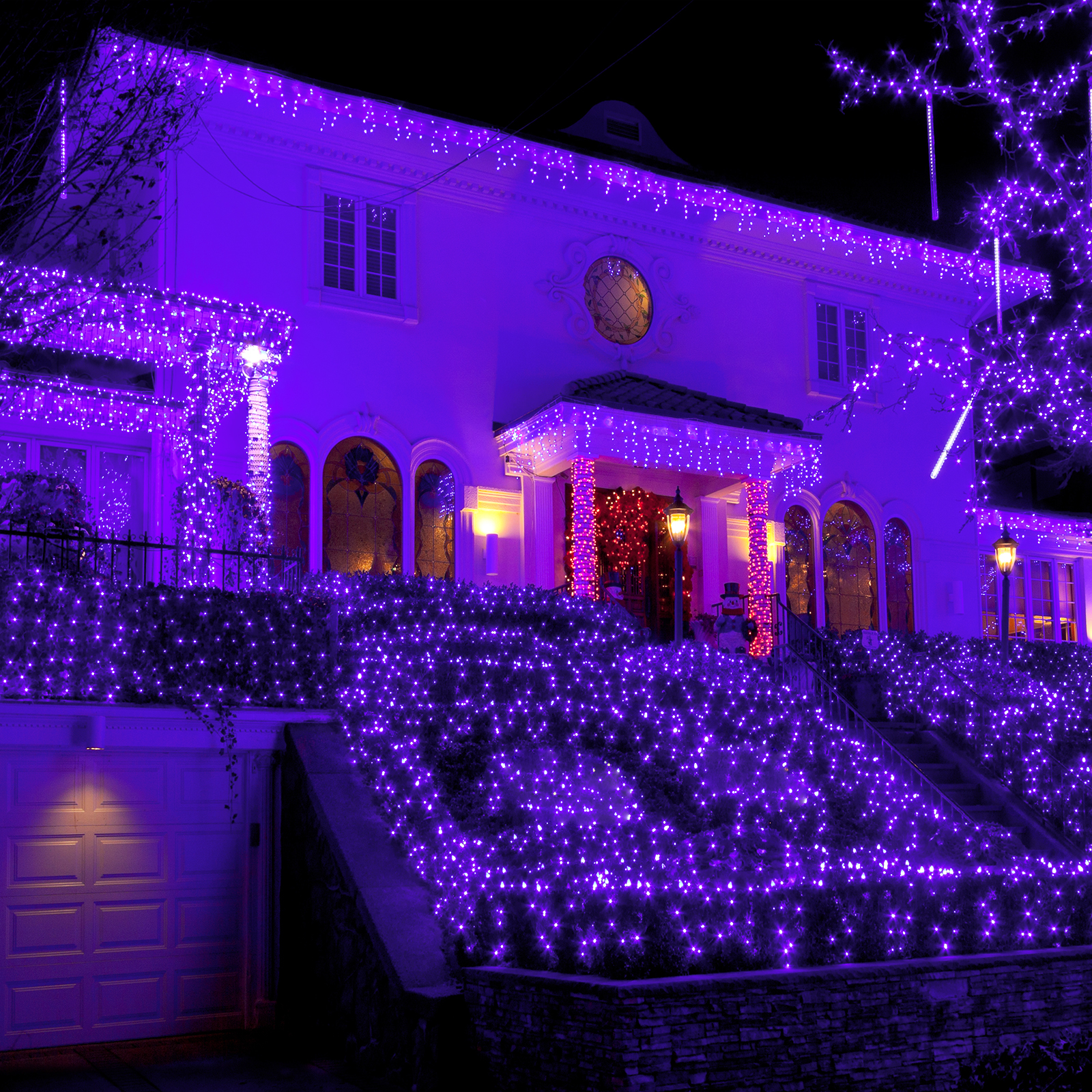 紫金飯店 xSPECIAL OTHERES x NATAL x Lampup New One 3 Pack Christmas Net Lights, 100 LED 6ft x 4 ft Purple