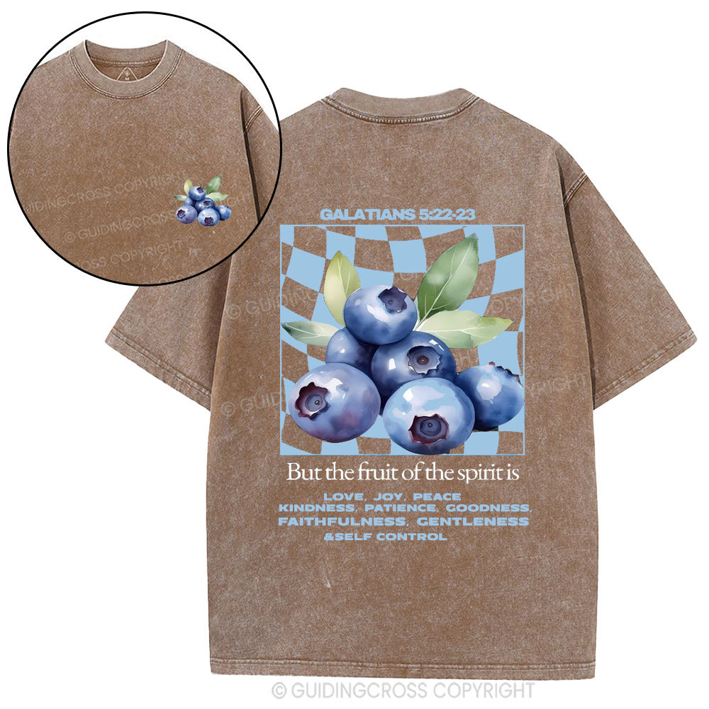 Friut Of The Spirit Christian Washed T-Shirt