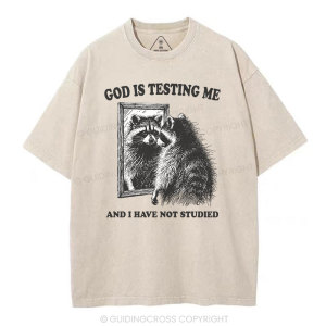 Image of God Is Testing Me And I Have Not Studied Christian T-Shirt