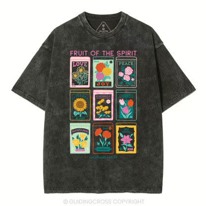 Fruit Of The Spirit Christian Washed T-Shirt