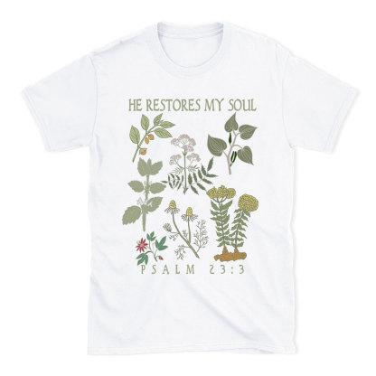 He Restores My Soul Christian T-Shirt