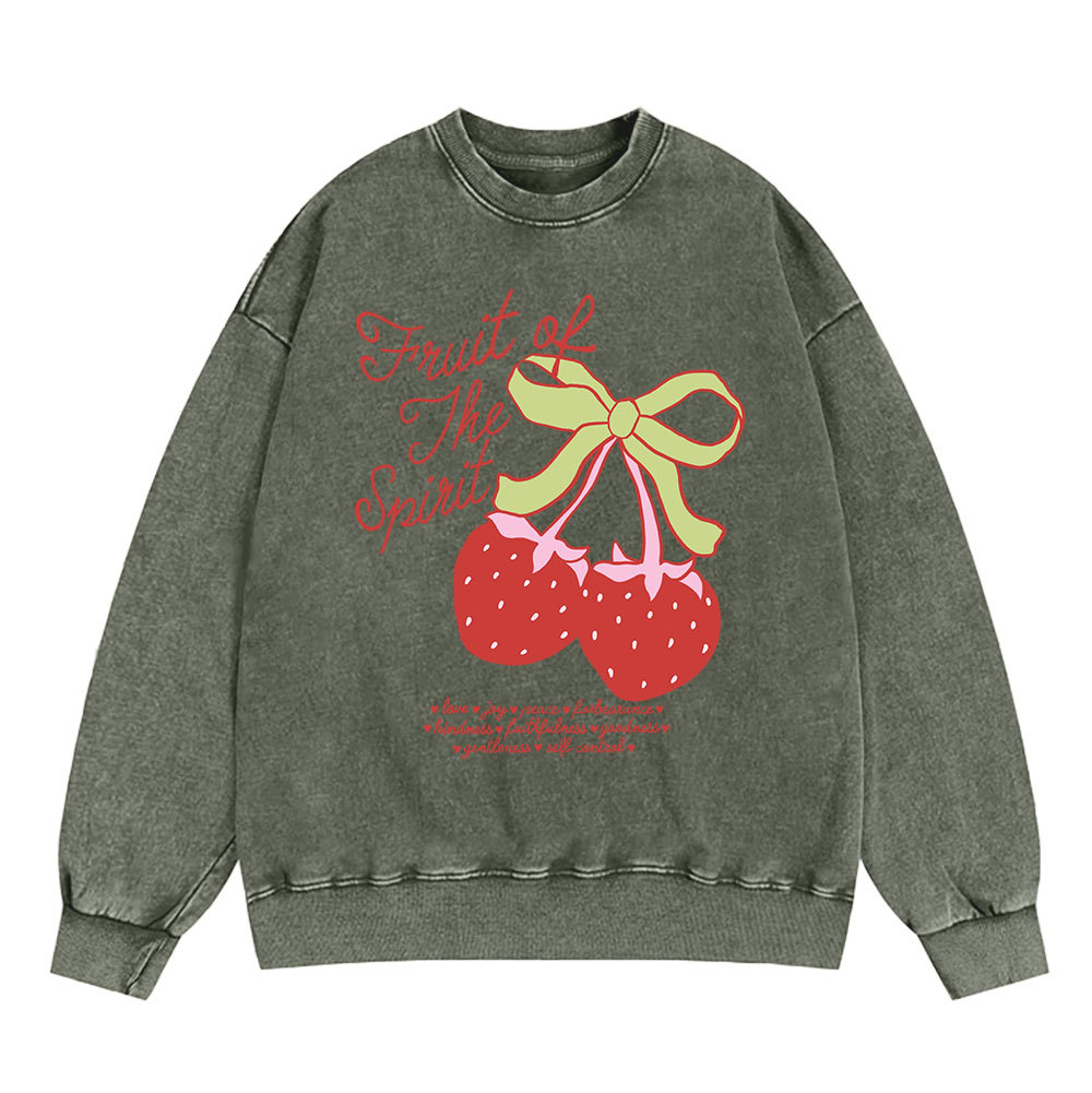 Fruit Of The Spirit Christian Washed Sweatshirt