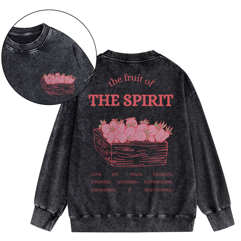 The Fruit Of The Spirit Christian Washed Sweatshirt