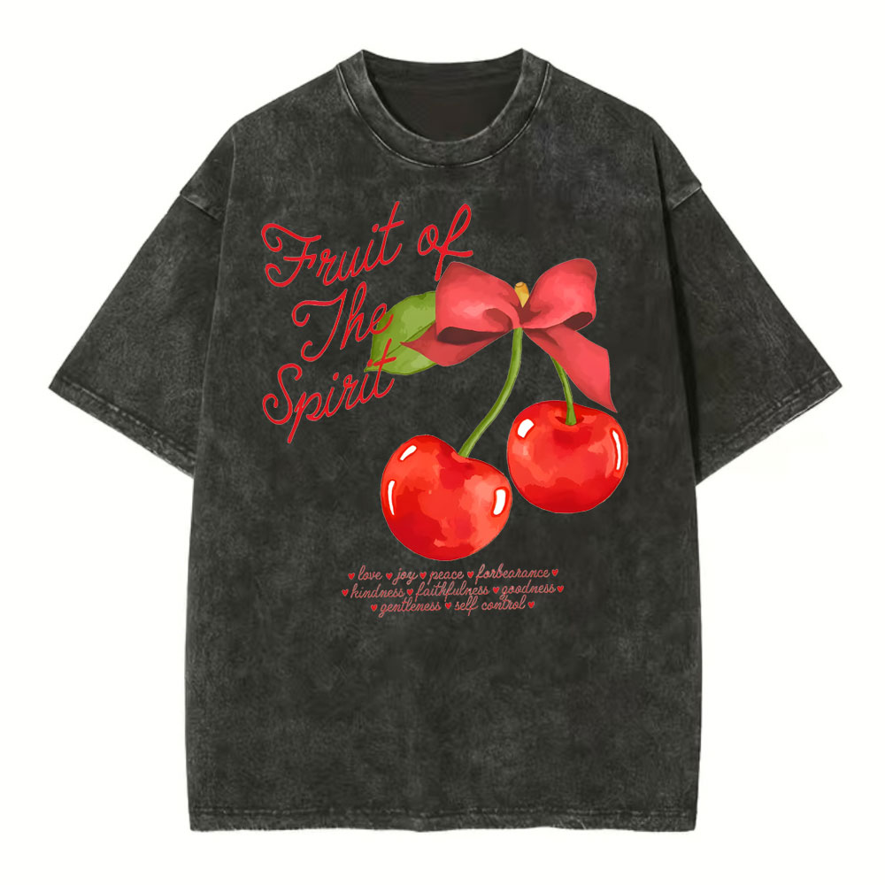 Fruit Of Spirit Christian Washed T-Shirt