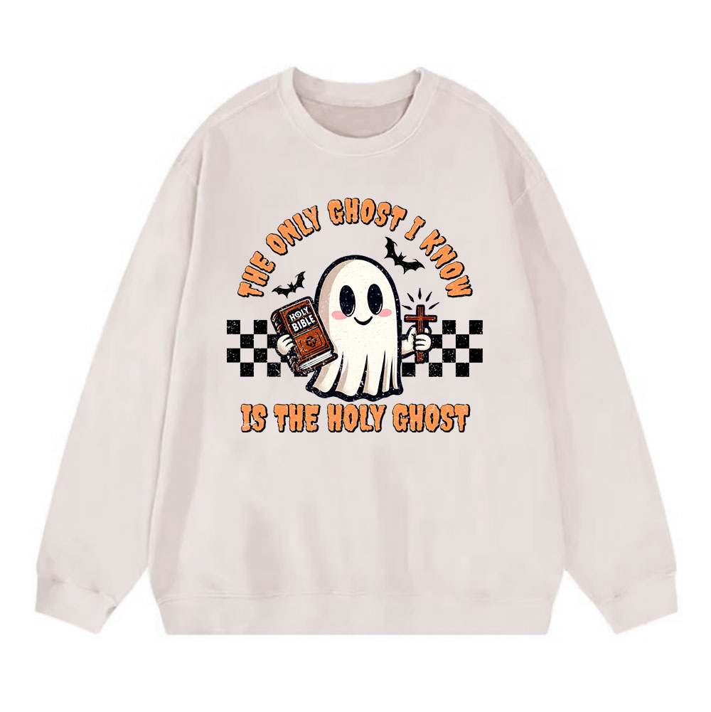The Only Ghost I Know Is The Holy Ghost Christian Washed Sweatshirt